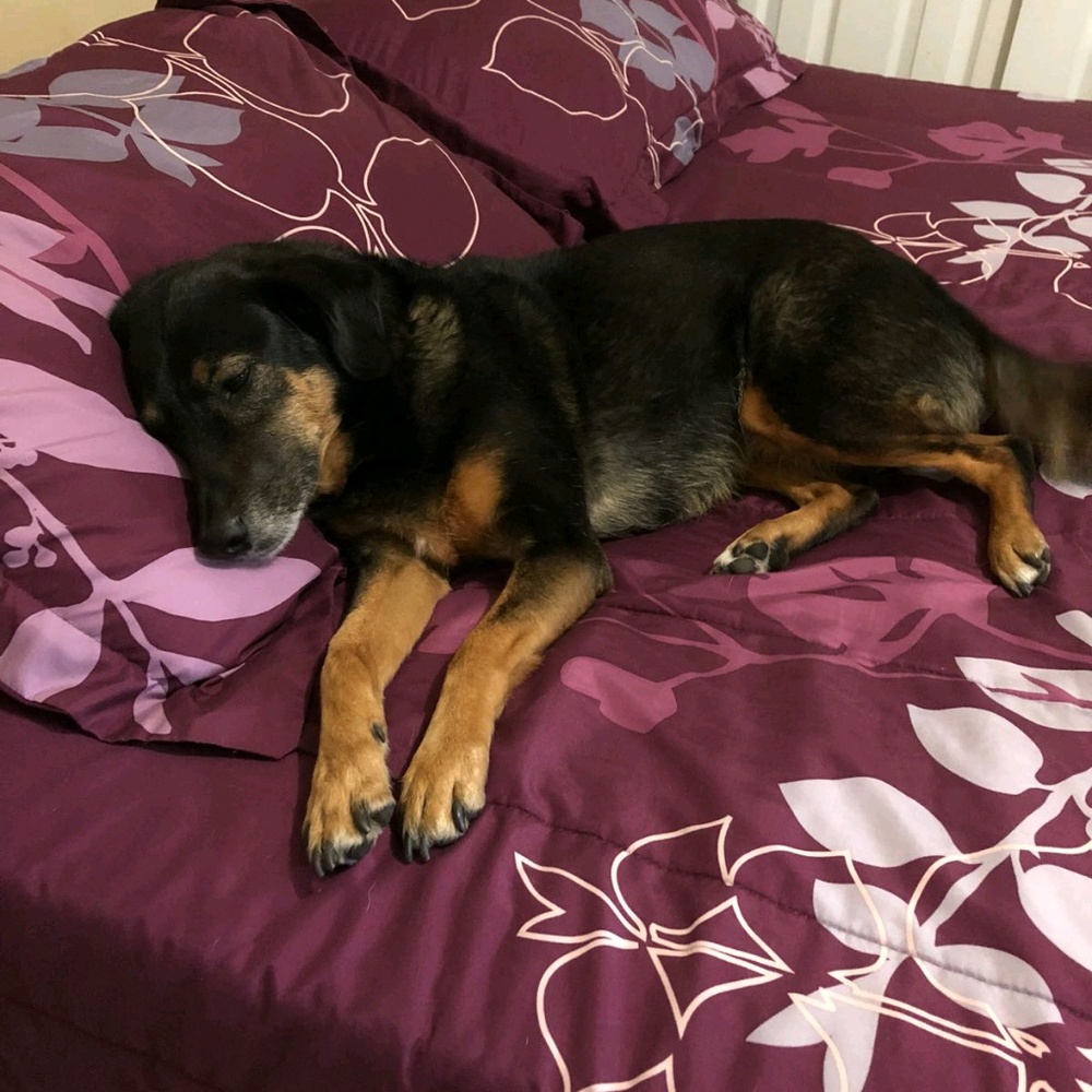 Meet your Posher, Katherine